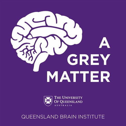 S03Ep3 - The cutting edge of dementia research