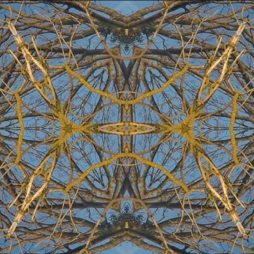 Microtonal (Featuring Octopusz)