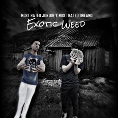 Exotic Weed Ft Most Hated Dreamo