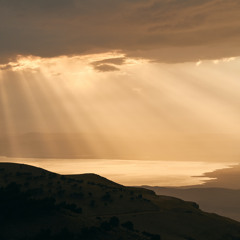 Led Of The Spirit