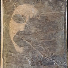 gueule cassée.lundi 9 janvier 2023.bringer.