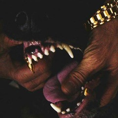 TRAP! 1