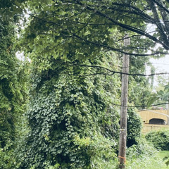 Bedroom demos (voice memos)