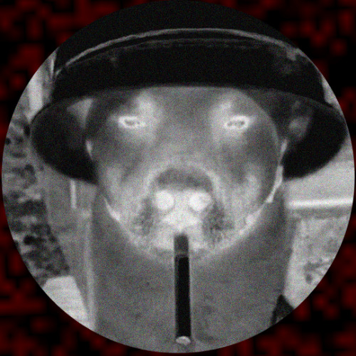 BAD BOY (TOOL) [FREE DL]