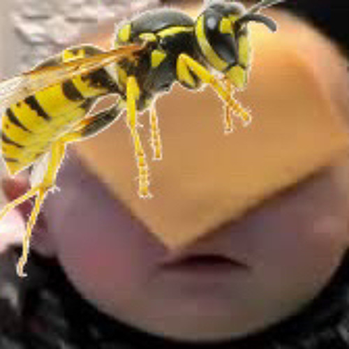 i save wasps and eat babies.wav