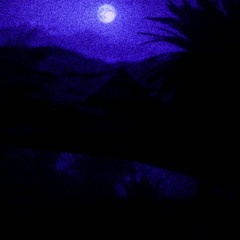 desert sand feels warm at night - 幽霊