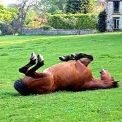 im the stallion - Deep House Demo Mix
