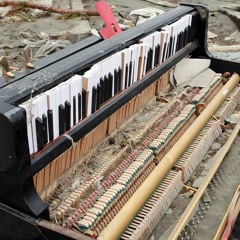 Piece de Quarantaine Sans Titre