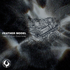 [Premiere] Feather Model - Framework Worship (out on Syrinx Music)
