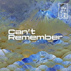 Danziger Radio Vol. 4 by Can't Remember