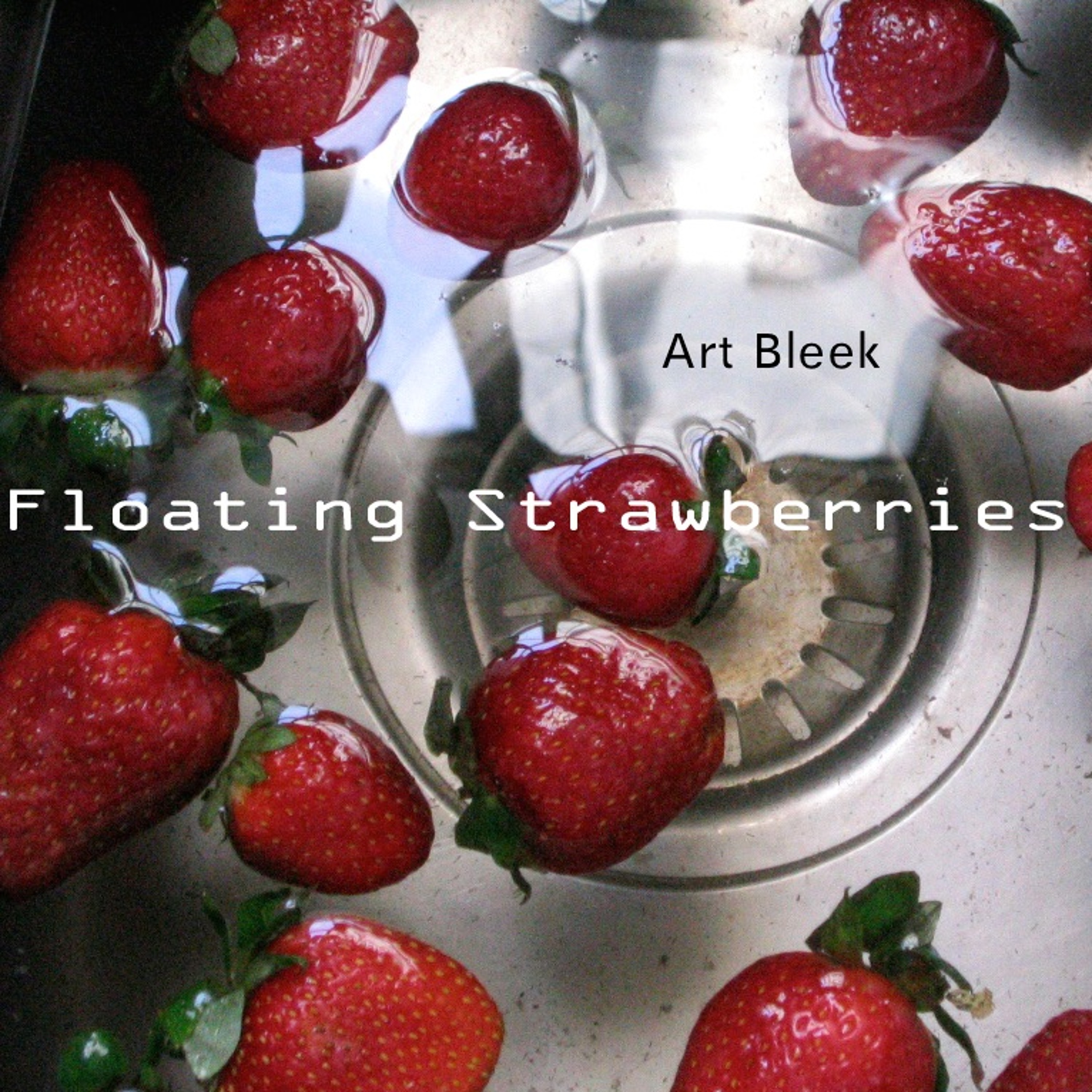 Art Bleek