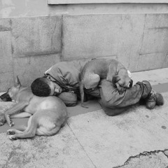 Aquela Calçada é seu Lar