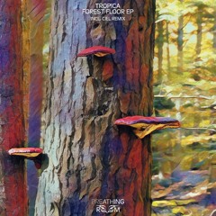 Forest Floor EP
