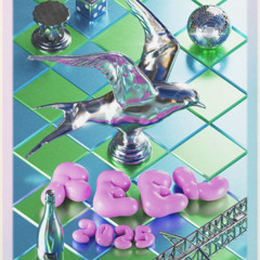 DJ Nasi Goreng @ Feel Festival 2025 | RegionalXpress
