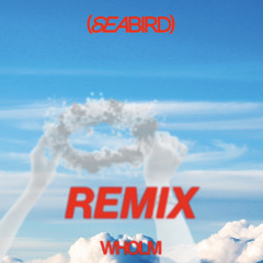 Seabird remix demo.wav