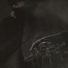 кисы-котики 3