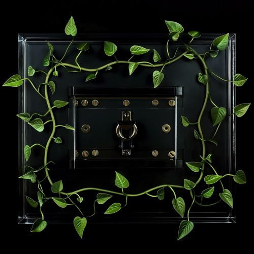 VIP Access Vault (Mix)