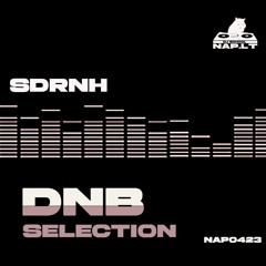 [nap0423] SDRNH | DNB SLC nr. 1