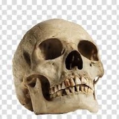 I feel like Oprah Winfrey