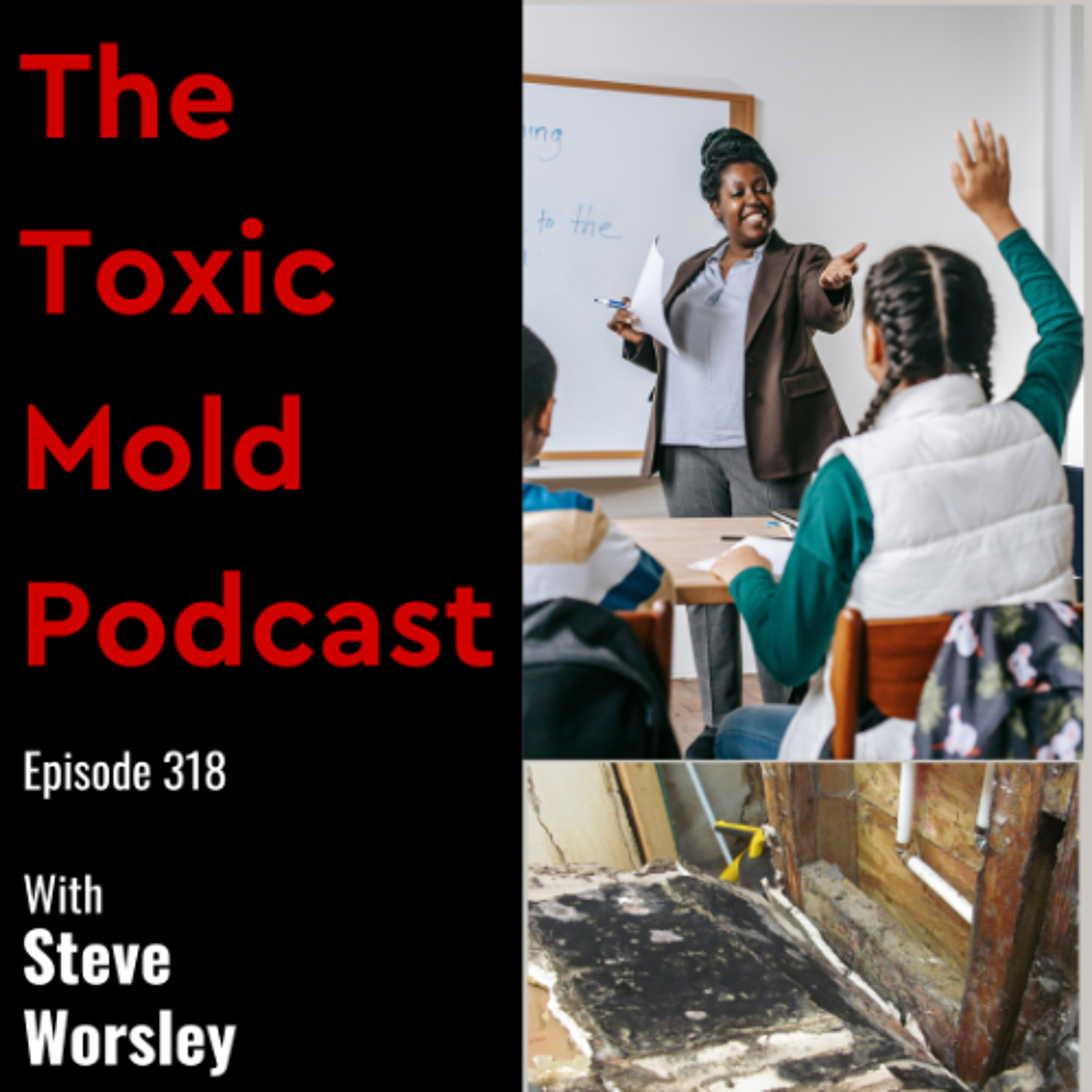 EP 318: Most Common Questions About Toxic Mold