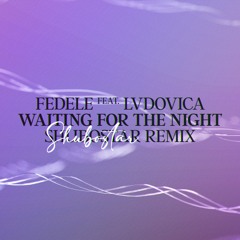 Fedele feat. Lvdovica - Waiting For The Night (Shubostar Remix)