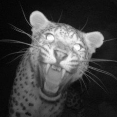 back of my mind [lickowens]