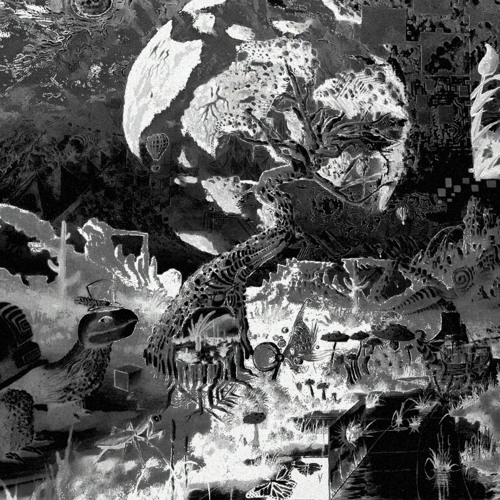 INADRM - Tried To Tell You Before (Composite Cone Remix)