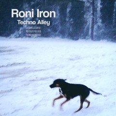 Roni Iron - The Message (feat. Dragana) (John Moore Astral Mix)