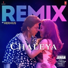 JAWAN - CHALEYA OFFICIAL REMIX - HERMUS ( T-Series ) WAV - BOLLYWOOD REMIX