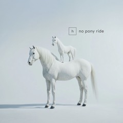 Horse & Pony - No Pony Ride