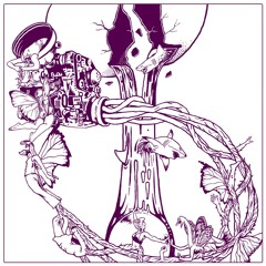 Premiere | Simon Hinter - Confusion (BROMBERT006)