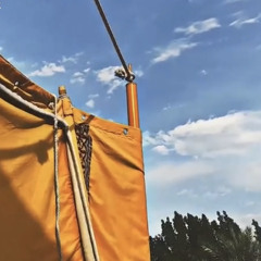 مساعد الرشيدي.