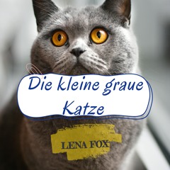 Die Kleine Graue Katze