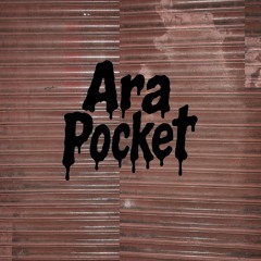 CRYSTAL CASTLES - VANISHED (ARA POCKET REMIX) (filtered)
