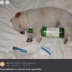 Muse (demo ig I’ll make another)