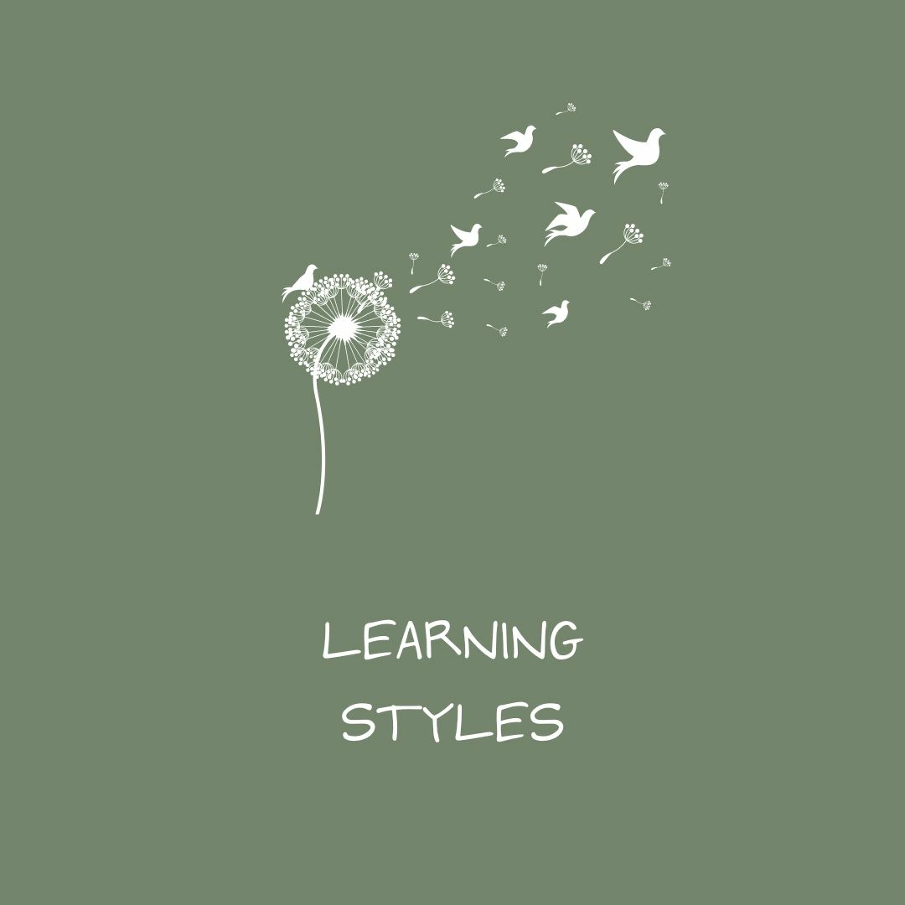 Episode 7: Learning styles Episode 7: Learning styles
