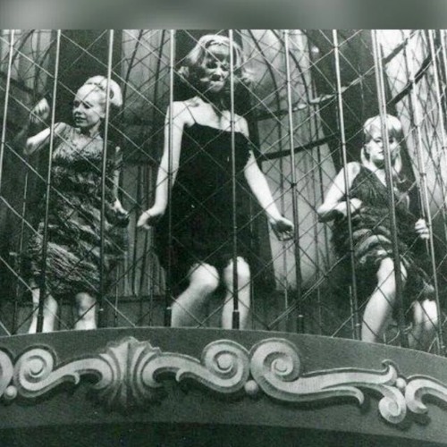 QUARANTINE DISCO EP3 - FUNK SPECIAL