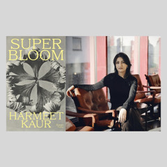 Min mor, mitt speil: En kveld med Harmeet Kaur