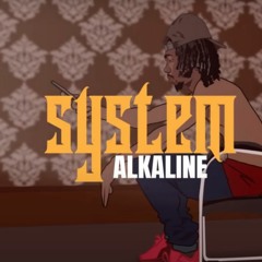 Alkaline - System _ Nov 2021