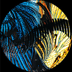 Premiere: A1 - Duc In Altum - Midnight Sun [RHZ005]