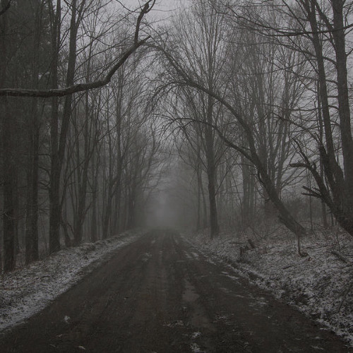 A Winter Where You Are Not Alone