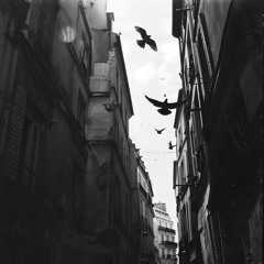 Sur la route de Memphis