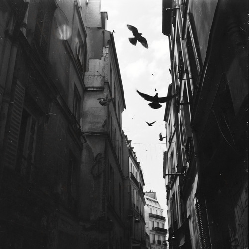 Sur la route de Memphis