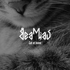 Cat at home