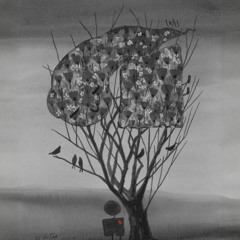عابرة - محمد عبدالباري