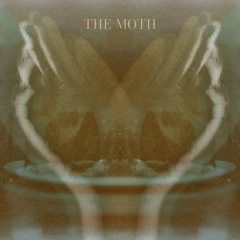 The Moth