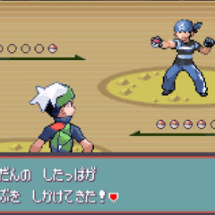 ポケモン R&S「野生ポケモンBGM」/ Pokémon R&S - Wild Pokémon Battle