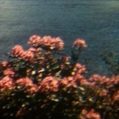august tape