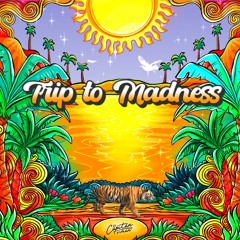 Trip to Madness