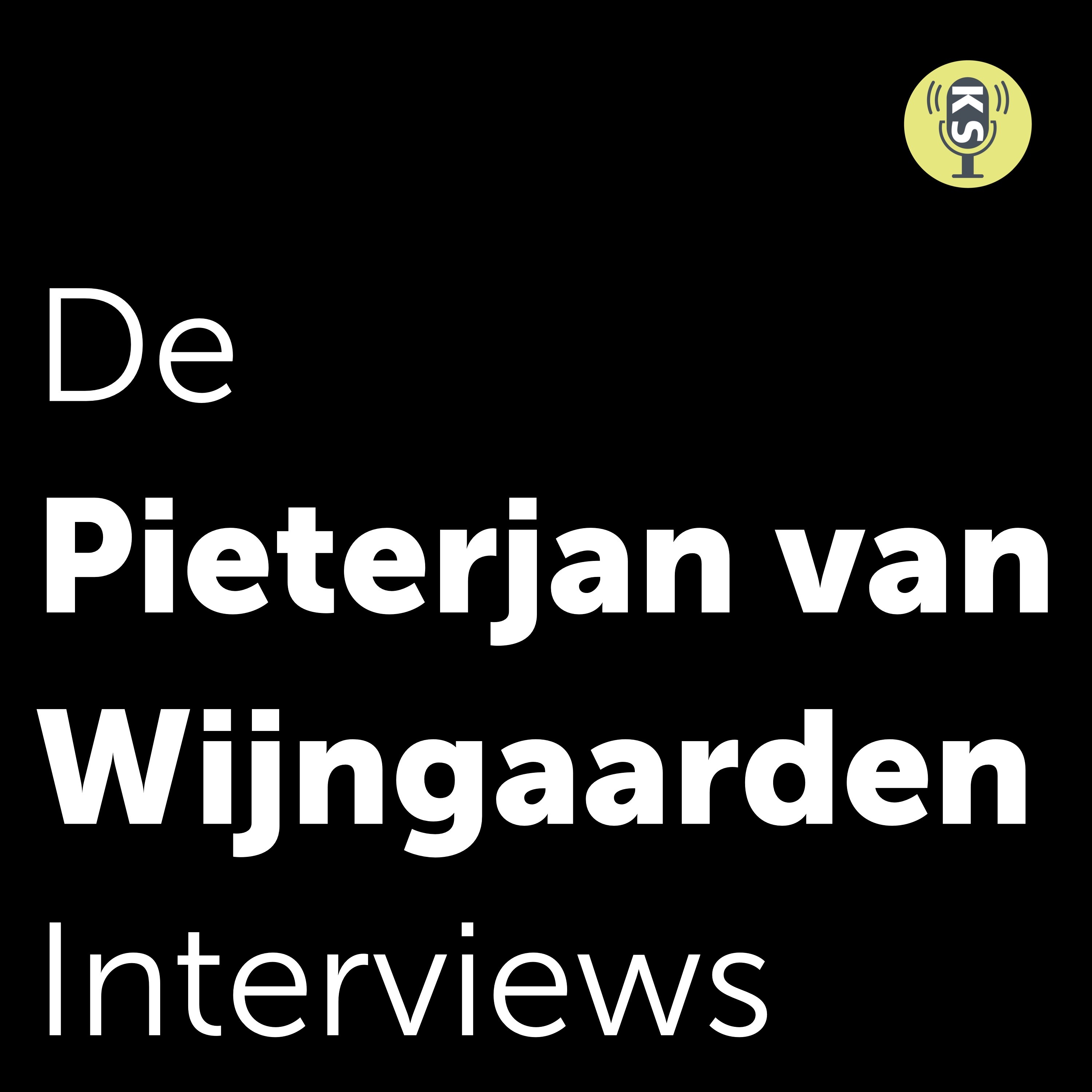 De Pieterjan van Wijngaarden Interviews